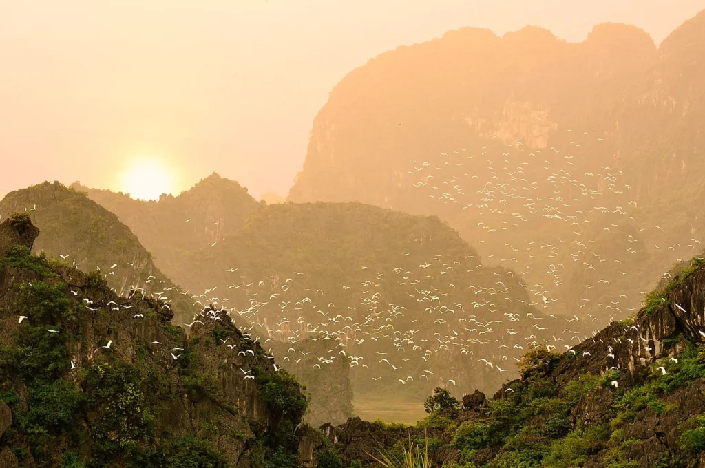 Ninh Bình có những ngọn núi đá vôi khổng lồ, những thung lũng tươi tốt, những cánh đồng lúa trải dài hàng dặm và những dòng sông uốn lượn. Ảnh: Wikipedia