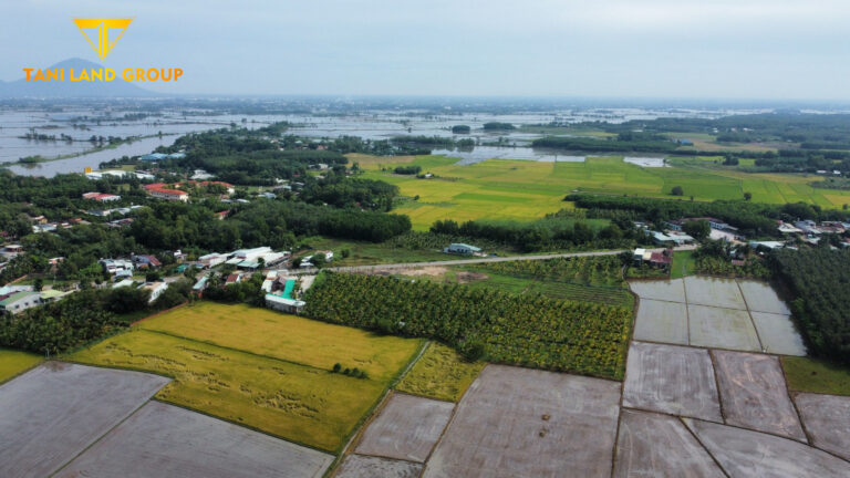 Farmstay mô hình đang được ưa chuộng tại Tây Ninh