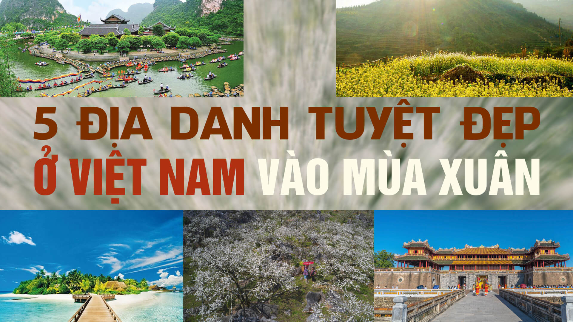 5 địa danh tuyệt đẹp ở Việt Nam vào mùa xuân không thể bỏ lỡ!