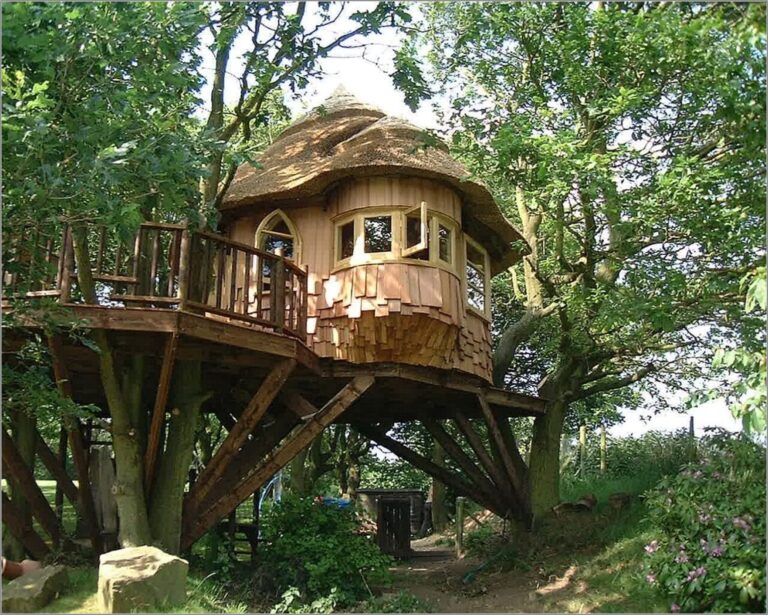 7 bước để tạo ra một ngôi nhà trên cây tuyệt đẹp